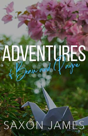 Adventures of Beau and Payne by Saxon James