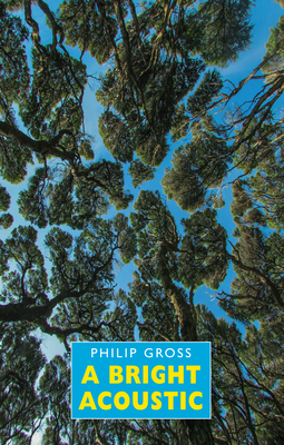 A Bright Acoustic by Philip Gross