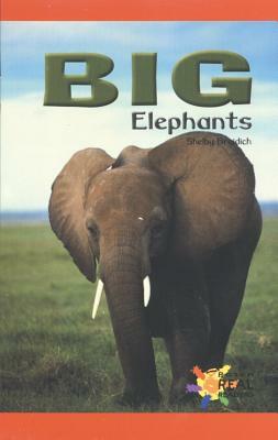 Big Elephants by Shelby Braidich