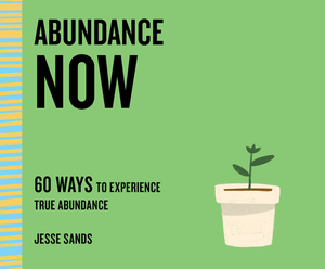 Abundance Now: 60 Ways to Experience True Abundance by Jesse Sands