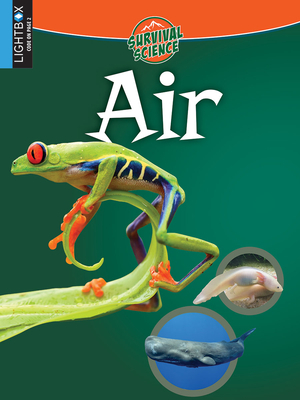 Air by John Willis