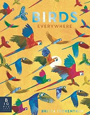 Birds Everywhere by Britta Teckentrup