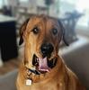 kendrak7's profile picture