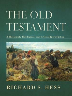 The Old Testament: A Historical, Theological, and Critical Introduction by Richard S. Hess