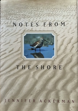 Notes from the shore by Jennifer Ackerman