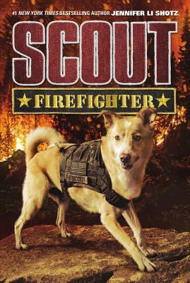 Fire Fighter by Jennifer Li Shotz