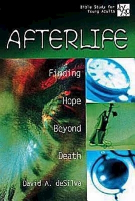 20/30 Bible Study for Young Adults: Afterlife: Finding Hope Beyond Death by David A. deSilva