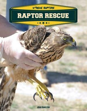 Raptor Rescue by John Hamilton