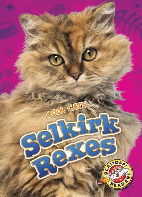 Selkirk Rexes by Betsy Rathburn