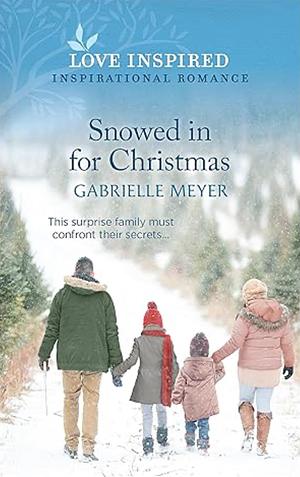 Snowed in for Christmas  by Gabrielle Meyer