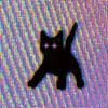 damn_dorothea's profile picture