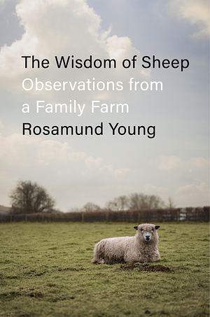 The Wisdom of Sheep: Observations from a Family Farm by Rosamund Young