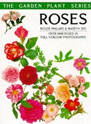 Roses by Martyn Rix, Roger Phillips