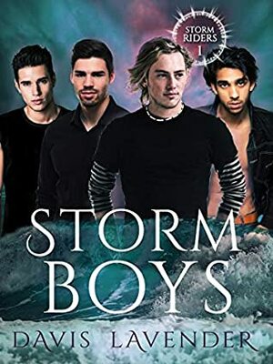 Storm Boys by Davis Lavender