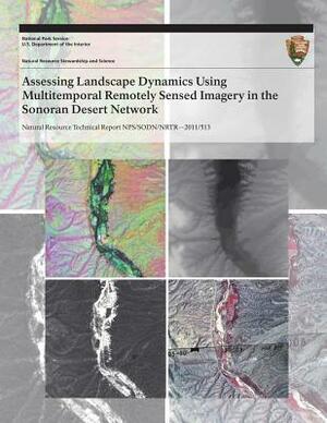 Assessing Landscape Dynamics Using Multitemporal Remotely Sensed Imagery in the Sonoran Desert Network by Willem Van Leeuwen, Raul Romo, L. Andrew Hubbard
