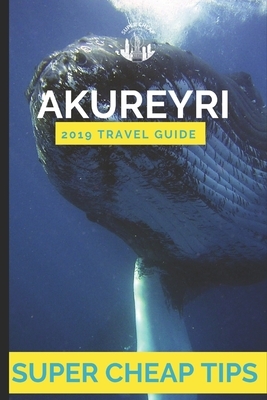 Super Cheap Akureyri: How to enjoy a $1,000 trip to Akureyri for $300 by Phil G. Tang