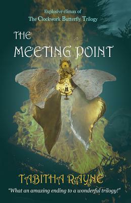 The Meeting Point by Tabitha Rayne