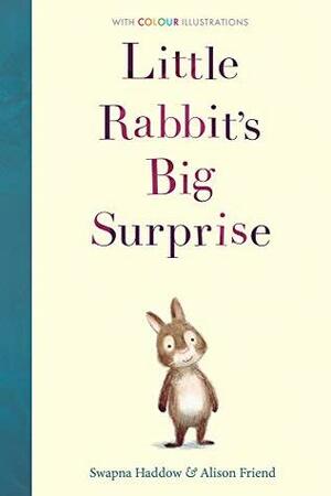 Little Rabbit's Big Surprise (Colour Fiction) by Swapna Haddow, Alison Friend