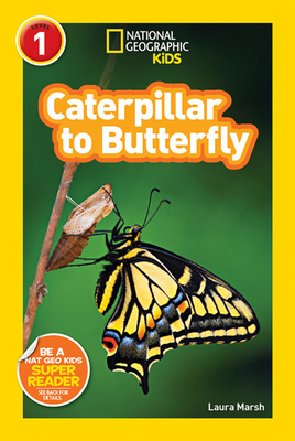 Caterpillar to Butterfly by Laura Marsh