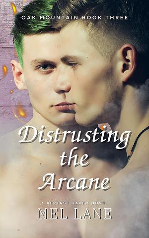 Distrusting the Arcane by Mel Lane