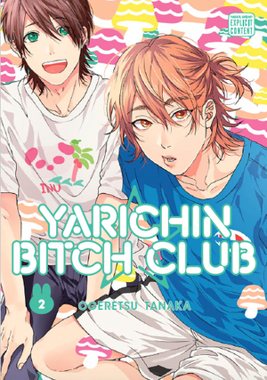 Yarichin Bitch Club, Vol. 2 by Ogeretsu Tanaka