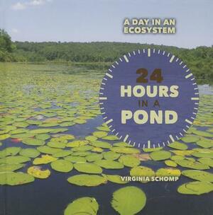 24 Hours in a Pond by Virginia Schomp