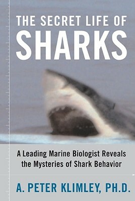 The Secret Life of Sharks: A Leading Marine Biologist Reveals the Mysteries of Shark Behavior by A. Peter Klimley