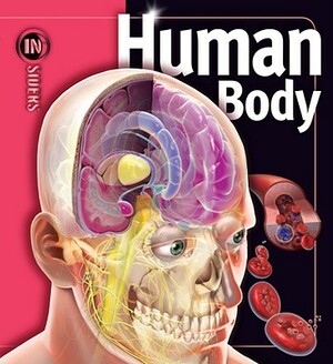 Human Body by Linda Calabresi