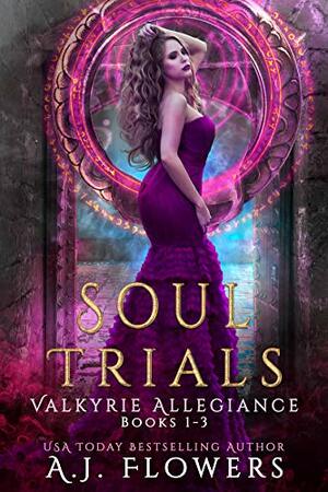 Valkyrie Allegiance Boxed Set: Books 1-3 by A.J. Flowers