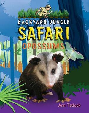 Opossums by Ann Tatlock