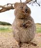 j2mpala's profile picture
