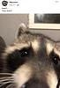 vibingjaren's profile picture