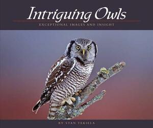 Intriguing Owls: Exceptional Images and Insight by Stan Tekiela