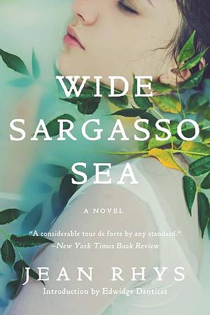 Wild Sargasso Sea by Jean Rhys, Jean Rhys