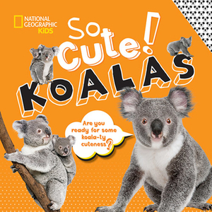 So Cute!: Koalas by Crispin Boyer