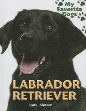 Labrador Retriever by Jinny Johnson