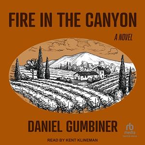 Fire in the Canyon by Daniel Gumbiner