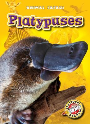 Platypuses by Megan Borgert-Spaniol