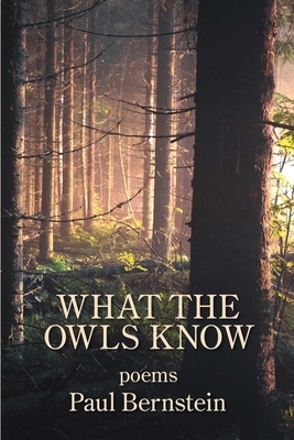 What the Owls Know by Paul Bernstein