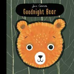 Goodnight Bear by Jane Cabrera