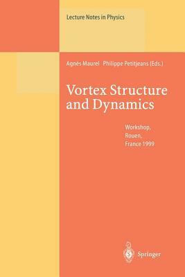 Vortex Structure and Dynamics: Lectures of a Workshop Held in Rouen, France, April 27-28, 1999 by 