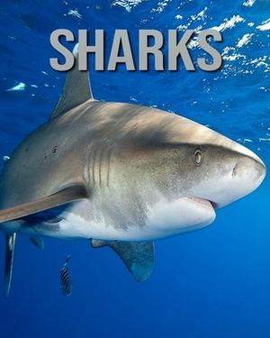 Sharks: Amazing Photos of Animals in Nature About Sharks by Alicia Henry