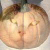 anvandruff's profile picture
