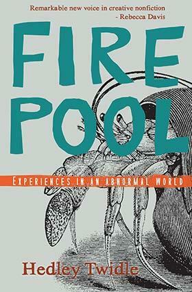 Firepool by Hedley Twidle