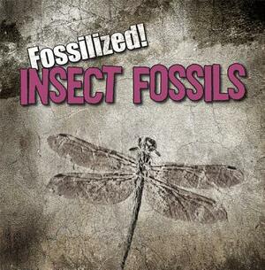 Insect Fossils by Kathleen Connors