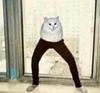 arkmaye's profile picture