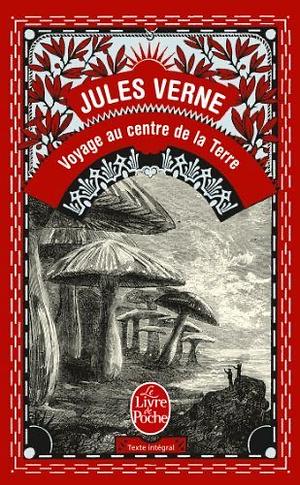 Voyage au centre de la terre by Jules Verne