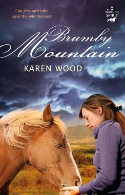 Brumby Mountain by Karen Wood