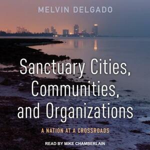 Sanctuary Cities, Communities, and Organizations: A Nation at a Crossroads by Melvin Delgado