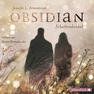 Obsidian  by Jennifer L. Armentrout